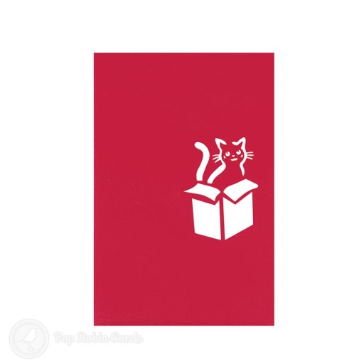 Cat in Box 3D Pop Up Birthday Card