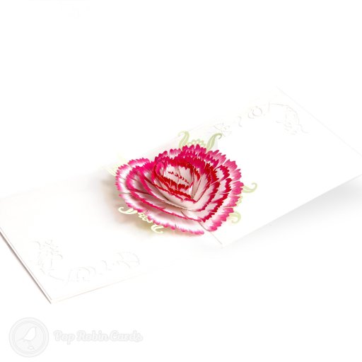 Carnation 3D Pop Up Greeting Card (Standard)