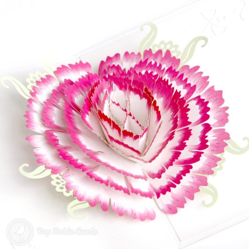 Carnation 3D Pop Up Greeting Card (Standard)
