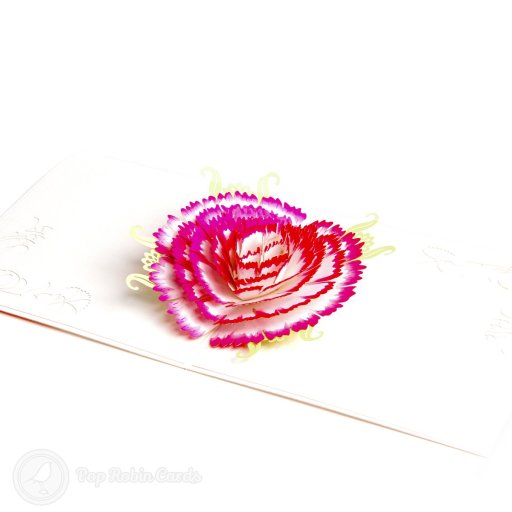 Carnation 3D Pop Up Greeting Card (Standard)