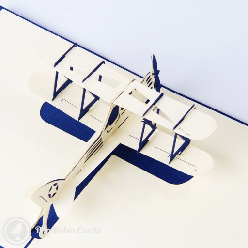 Biplane 3D Pop-up Greetings Card