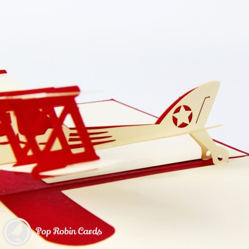 Biplane 3D Pop-up Greetings Card