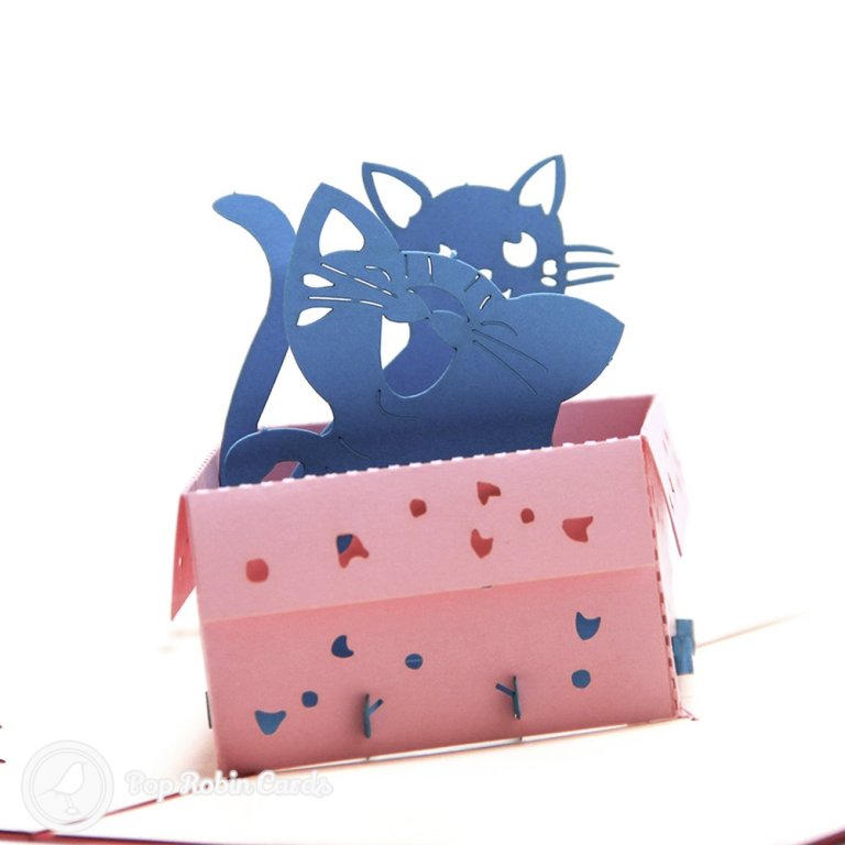Cat in Box Handmade 3D PopUp Birthday Card