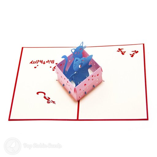 Cat in Box 3D Pop Up Birthday Card