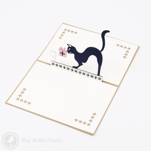 Cat & Mouse 3D Pop Up Greetings Card
