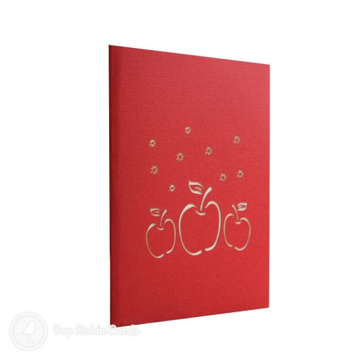 Christmas Apple 3D Pop Up Greetings Card