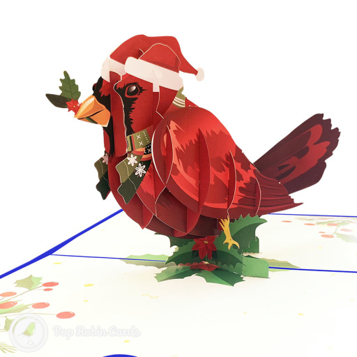 Christmas Robin 3D Pop Up Greetings Card