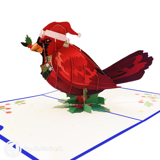 Christmas Robin 3D Pop Up Greetings Card
