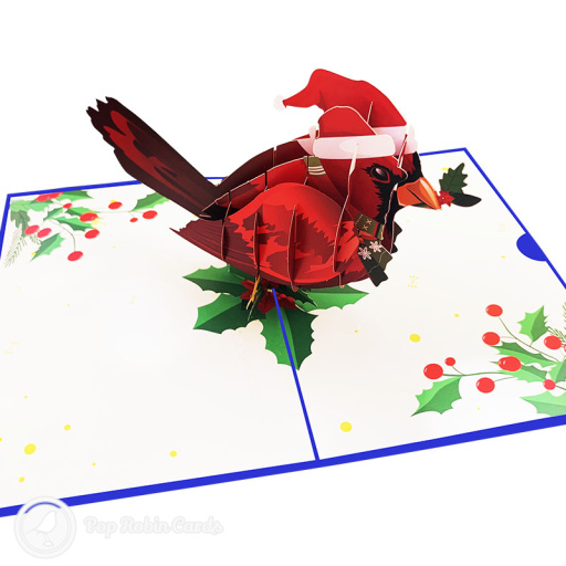 Christmas Robin 3D Pop Up Greetings Card