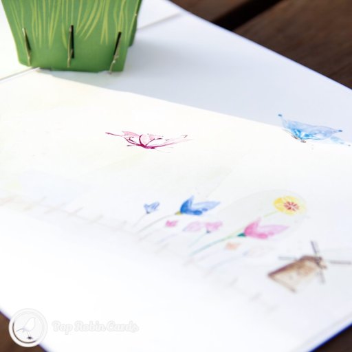 Colourful Tulips 3D Pop Up Greetings Card