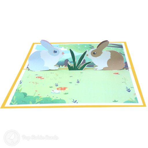 Two pop-up rabbits, one grey and one brown and white, face each other beside tall grass in a meadow