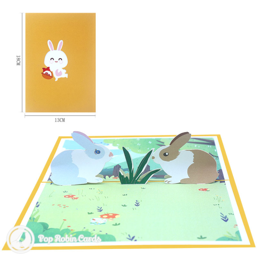 Two pop-up rabbits, one grey and one brown and white, face each other beside tall grass in a meadow