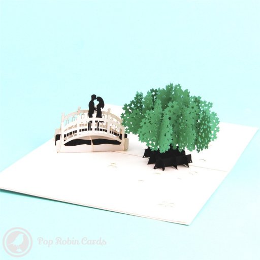 Falling in Love 3D Pop Up Greetings Card