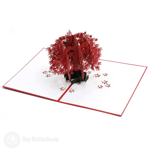 Japanese Red Maple Tree Handmade 3D Pop Up Card