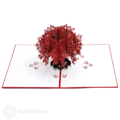 Japanese Red Maple Tree Handmade 3D Pop Up Card