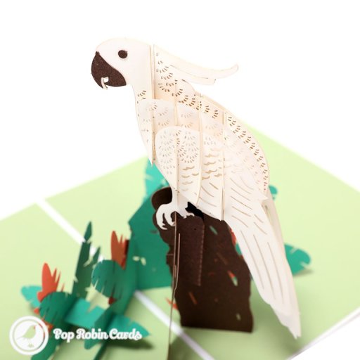 Jungle Parrot Handmade 3D Pop-Up Card