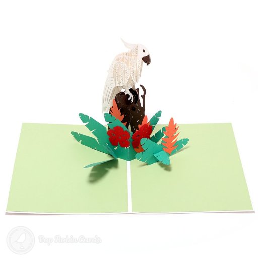 Jungle Parrot Handmade 3D Pop-Up Card