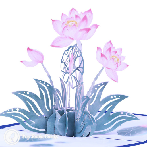 Lotus Pond Pop Up 3D Greetings Card