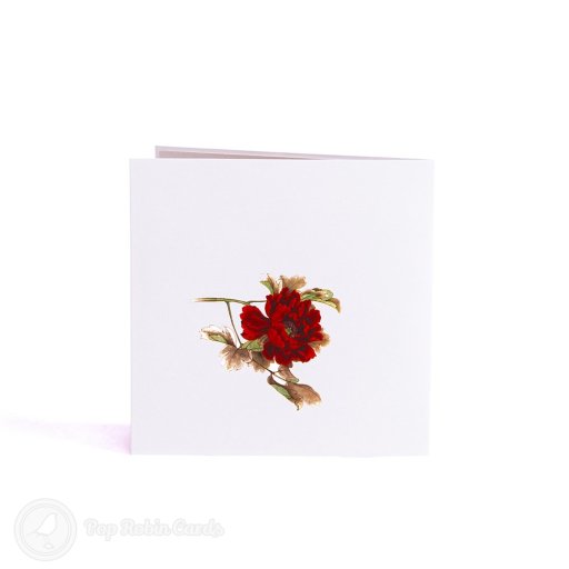 Mudan Peony 3D Pop Up Card with Traditional Painting Cover