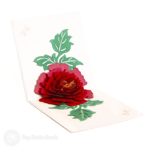 Mudan Peony 3D Pop Up Card with Traditional Painting Cover