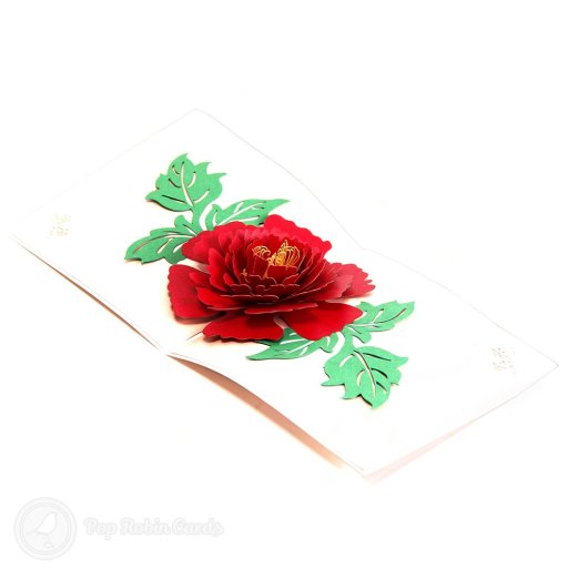Mudan Peony 3D Pop Up Card with Traditional Painting Cover