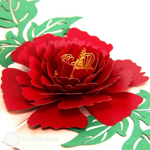 Mudan Peony 3D Pop Up Card with Traditional Painting Cover