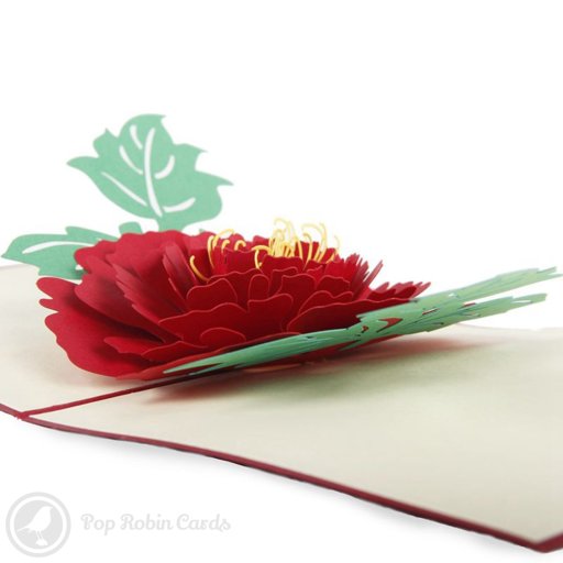 Peony Flower 3D Pop-up Greetings Card