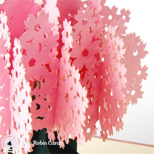 Pink Blossom 3D Pop-Up Greetings Card