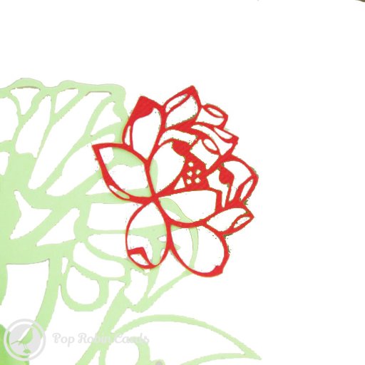 Sacred Lotus 3D Pop-Up Greetings Card