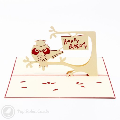 Student Owl 3D Pop-Up Birthday Card