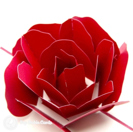 Open card with a layered red paper rose, on cream pages with red edges and small rose cut-outs in each corner.