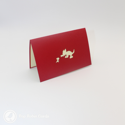 Tom & Jerry Handmade 3D Pop Up Card