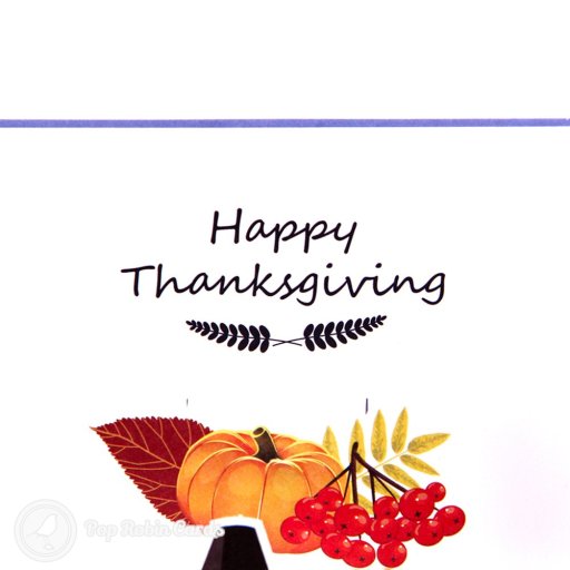 Turkey & Pumpkins Handmade 3D Pop-Up Thanksgiving Card