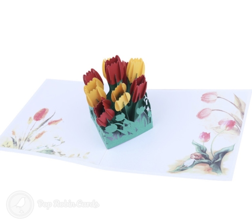 Pop-up bunch of red and yellow tulips in a green cut-out border, with watercolour tulips painted on the pages