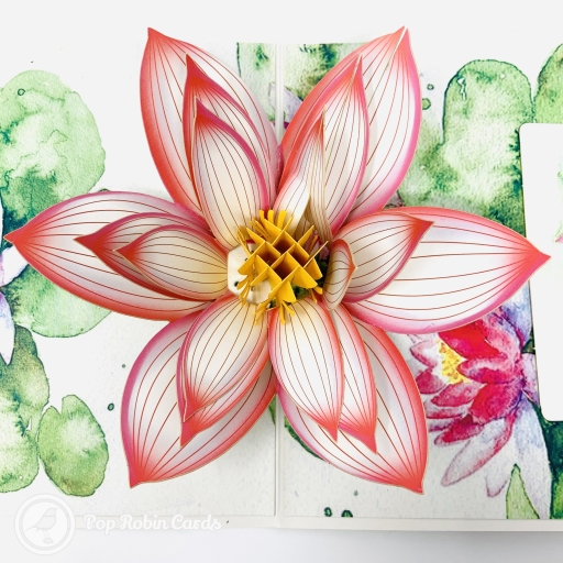 Watercolour Water Lily 3D Pop Up Greetings Card