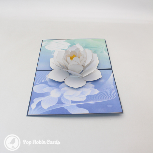 White paper lotus with a yellow centre pops up from a blue and green card printed with faint lotus flowers